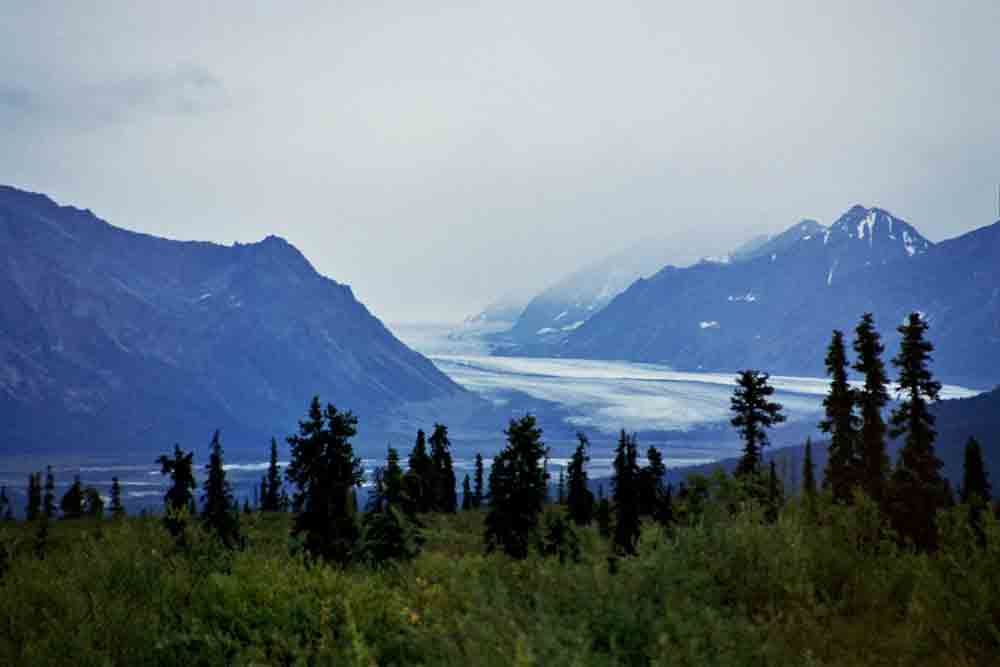 105 - Canada - Yukon, parque nacional de Kluane